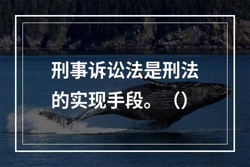 刑事诉讼法是刑法的实现手段。（）