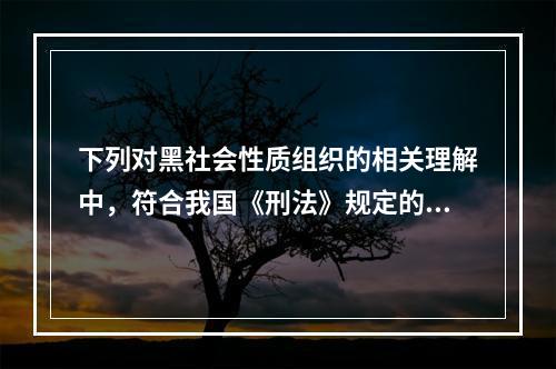 下列对黑社会性质组织的相关理解中，符合我国《刑法》规定的有（