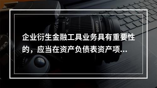 企业衍生金融工具业务具有重要性的，应当在资产负债表资产项下“