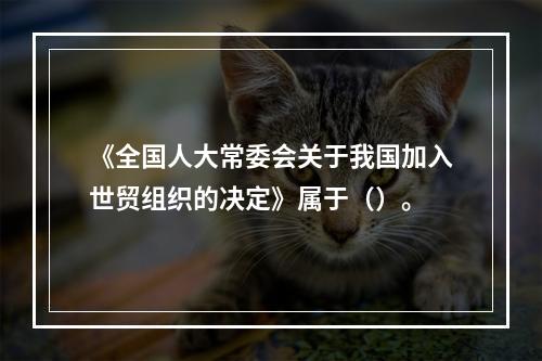 《全国人大常委会关于我国加入世贸组织的决定》属于（）。