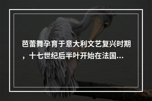 芭蕾舞孕育于意大利文艺复兴时期，十七世纪后半叶开始在法国发展