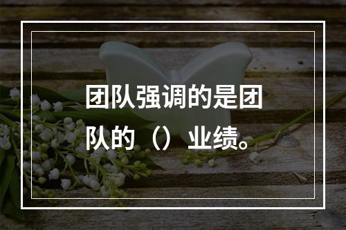 团队强调的是团队的（）业绩。