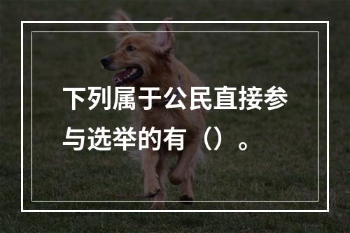 下列属于公民直接参与选举的有（）。