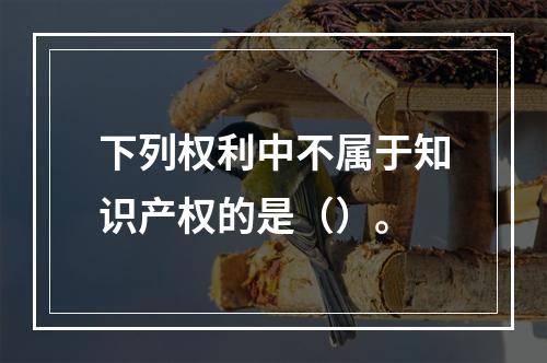 下列权利中不属于知识产权的是（）。