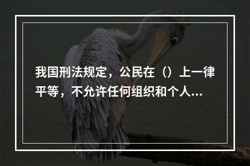 我国刑法规定，公民在（）上一律平等，不允许任何组织和个人有超