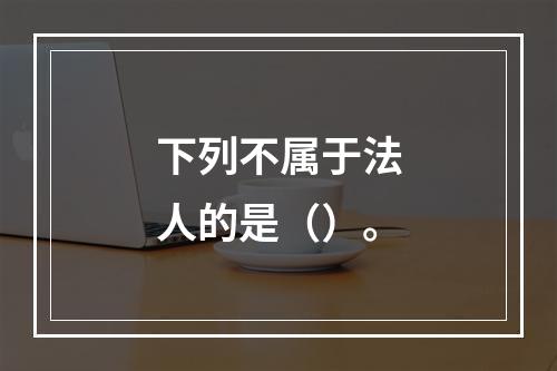 下列不属于法人的是（）。