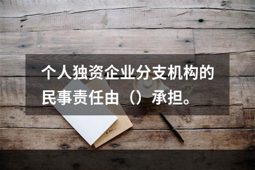 个人独资企业分支机构的民事责任由（）承担。