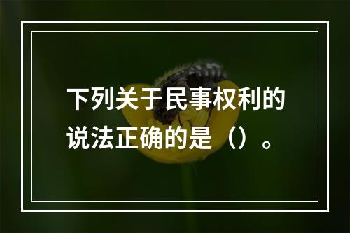 下列关于民事权利的说法正确的是（）。