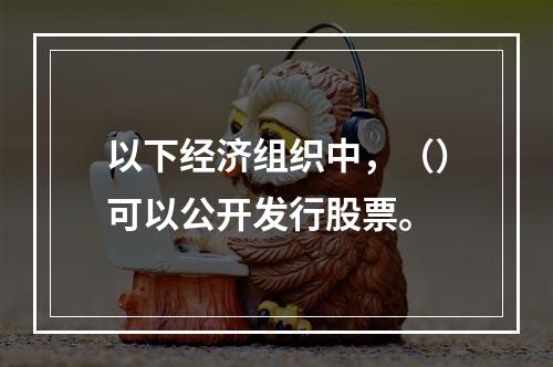 以下经济组织中，（）可以公开发行股票。