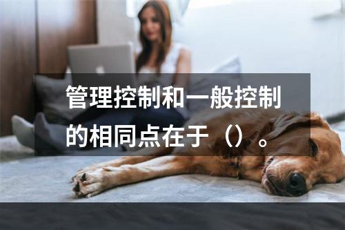 管理控制和一般控制的相同点在于（）。