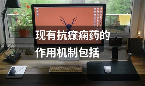 现有抗癫痫药的作用机制包括