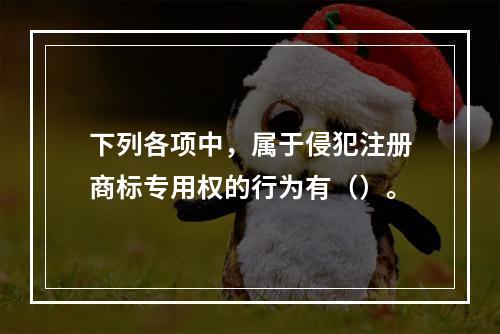 下列各项中，属于侵犯注册商标专用权的行为有（）。