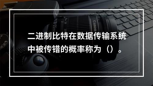 二进制比特在数据传输系统中被传错的概率称为（）。