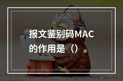 报文鉴别码MAC的作用是（）。