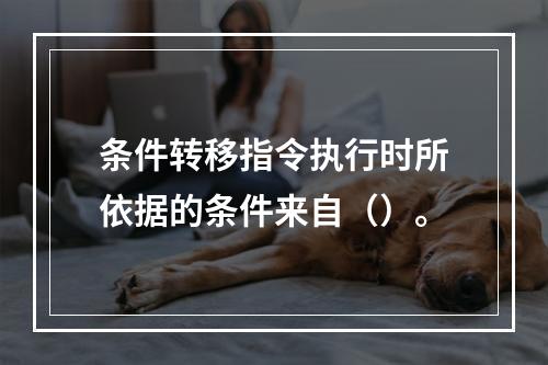 条件转移指令执行时所依据的条件来自（）。