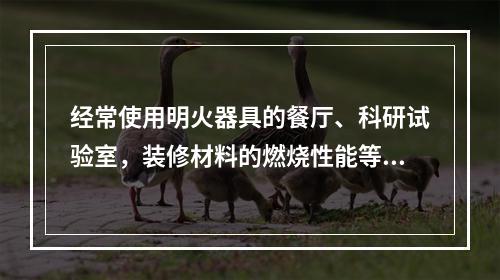 经常使用明火器具的餐厅、科研试验室，装修材料的燃烧性能等级，