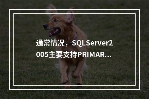 通常情况，SQLServer2005主要支持PRIMARY约