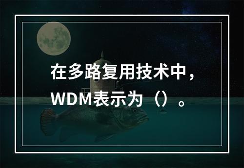 在多路复用技术中，WDM表示为（）。