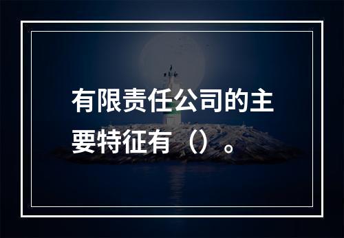 有限责任公司的主要特征有（）。