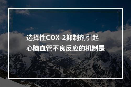 选择性COX-2抑制剂引起心脑血管不良反应的机制是