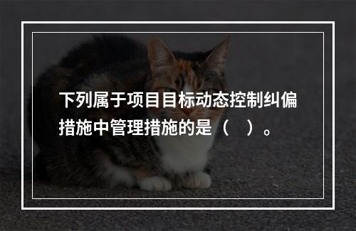 下列属于项目目标动态控制纠偏措施中管理措施的是（　）。