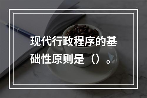 现代行政程序的基础性原则是（）。