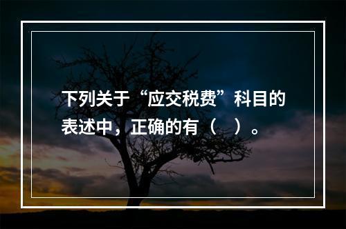 下列关于“应交税费”科目的表述中，正确的有（　）。