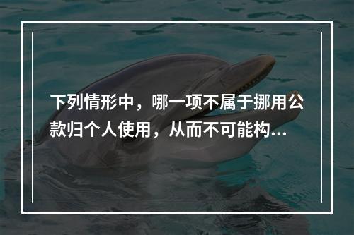 下列情形中，哪一项不属于挪用公款归个人使用，从而不可能构成挪