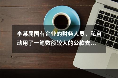 李某属国有企业的财务人员，私自动用了一笔数额较大的公款去炒股