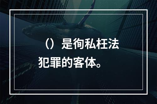 （）是徇私枉法犯罪的客体。