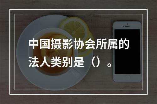 中国摄影协会所属的法人类别是（）。