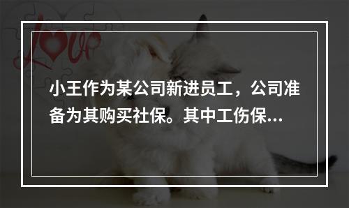 小王作为某公司新进员工，公司准备为其购买社保。其中工伤保险的