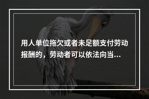 用人单位拖欠或者未足额支付劳动报酬的，劳动者可以依法向当地（