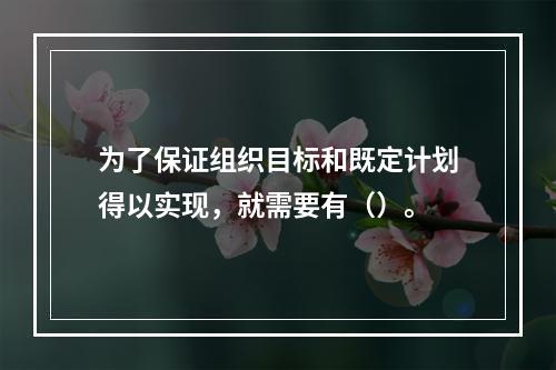 为了保证组织目标和既定计划得以实现，就需要有（）。