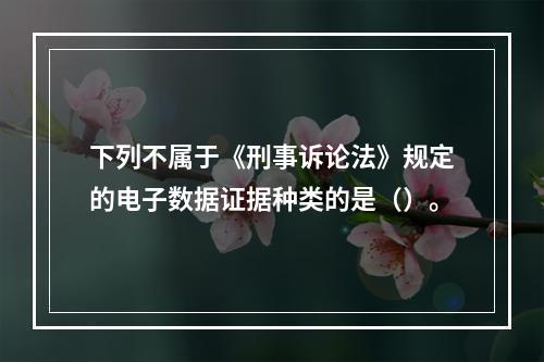 下列不属于《刑事诉论法》规定的电子数据证据种类的是（）。