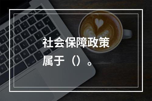 社会保障政策属于（）。