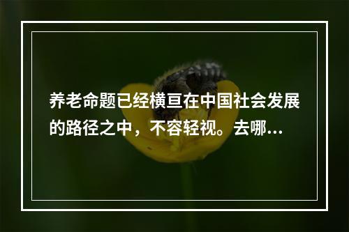 养老命题已经横亘在中国社会发展的路径之中，不容轻视。去哪里养