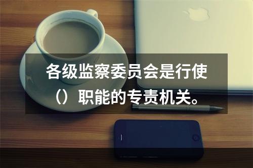 各级监察委员会是行使（）职能的专责机关。