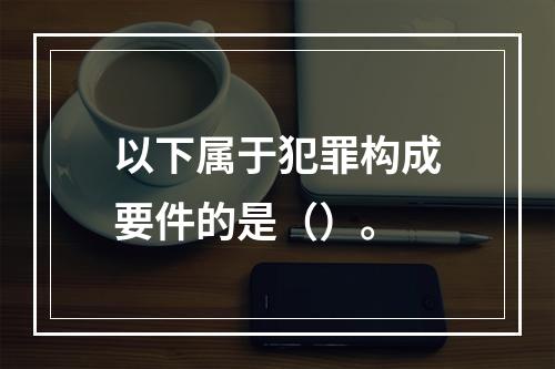 以下属于犯罪构成要件的是（）。