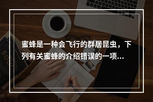 蜜蜂是一种会飞行的群居昆虫，下列有关蜜蜂的介绍错误的一项是（