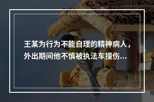 王某为行为不能自理的精神病人，外出期间他不慎被执法车撞伤，则