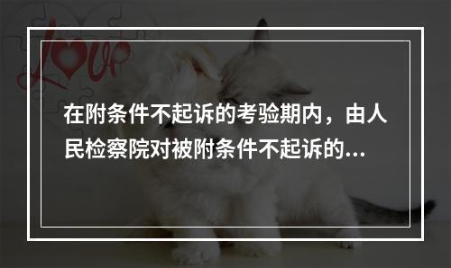 在附条件不起诉的考验期内，由人民检察院对被附条件不起诉的未成