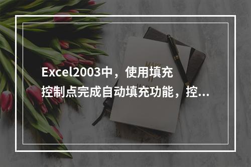 Excel2003中，使用填充控制点完成自动填充功能，控制点