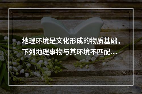 地理环境是文化形成的物质基础，下列地理事物与其环境不匹配的是