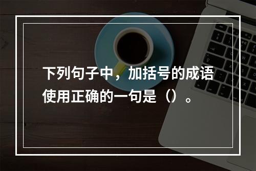 下列句子中，加括号的成语使用正确的一句是（）。