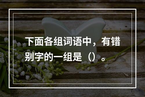 下面各组词语中，有错别字的一组是（）。