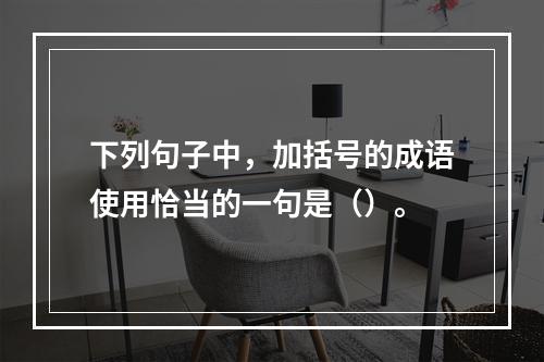 下列句子中，加括号的成语使用恰当的一句是（）。