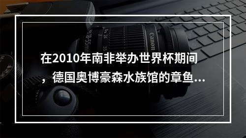 在2010年南非举办世界杯期间，德国奥博豪森水族馆的章鱼“保