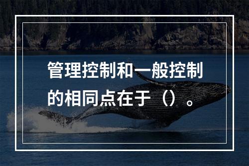 管理控制和一般控制的相同点在于（）。