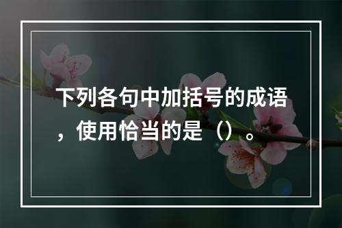 下列各句中加括号的成语，使用恰当的是（）。